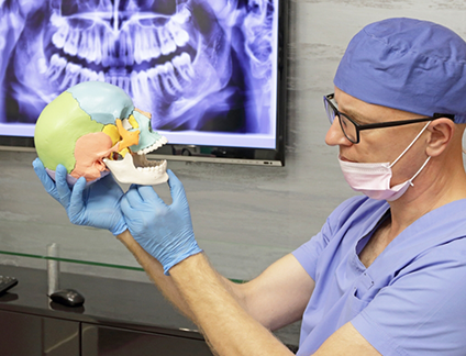 Dentist holding a model of the skull and pointing out the jaw joints